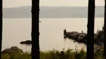 Сезон полювання в Карелії на звіра та дичину, Відкриття мисливського сезону в Карелії, Медвежьегорский район сезон