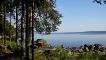 Сезон полювання в Карелії на звіра та дичину, Відкриття мисливського сезону в Карелії, Медвежьегорский район полювання