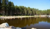 Сезон полювання в Карелії на звіра та дичину, Відкриття мисливського сезону в Карелії, Медвежьегорский район карелії
