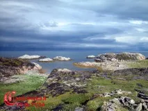 Північна природа дуже