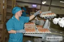 Сметанінська птахофабрика буде розширюватися, Швидкі новини Смоленська «SmolDaily» птахофабрика