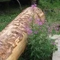 Створення будинку своїми руками, а також блондинка та рожевий паркан будинку