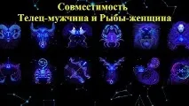 Телець і Риби сумісність у коханні та стосунках риби
