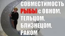 Телець і Риби сумісність у коханні та стосунках риби