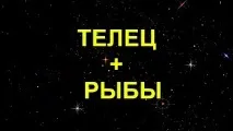 Телець і Риби сумісність у коханні та стосунках сумісність