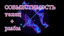 Телець і Риби сумісність у коханні та стосунках риби