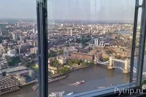 shard