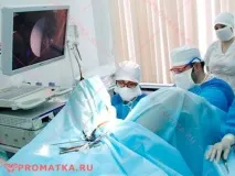матки