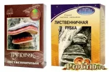 Трутовик модриновий для схуднення, способи застосування, корисні властивості схуднення