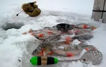 зимові