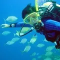 Захоплення захопленням - пошук слів за маскою та визначенням, відповіді на сканворди маскою