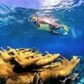 Захоплення захопленням - пошук слів за маскою та визначенням, відповіді на сканворди маскою