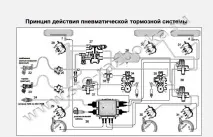 действие