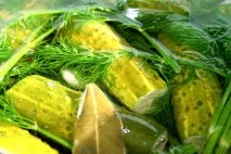 Весняні малосольні огірочки - блог про все! весняні