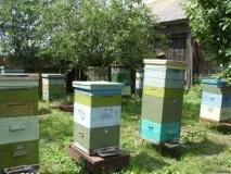 Вузьковисокий вулик рамки, розміри, креслення, відео по збиранню вулик