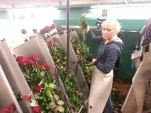 руками