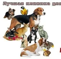Ветеринарна клініка лікаря - Тіханіна клініка