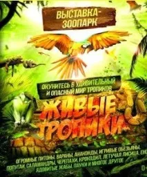 Лікаря додому тепер можна викликати через інтернет. додому