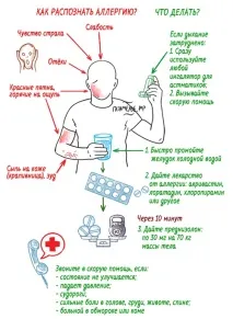 Все про шкоду алкоголю шкоду
