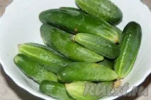 засолки