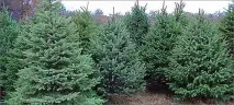 укаїни