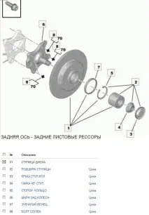 задни