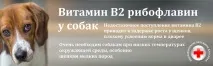 захворювання