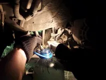 Заміна олії у варіаторі Ніссан мурано Z51 мурано