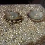 Перли та перламутр морської раковини раковини