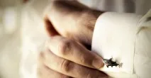 Наречений на весіллі як уникнути несмаку, Ідеї для весілля весіллі