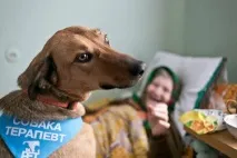 врятувати