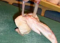 крильця