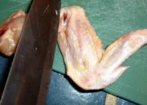 крильця