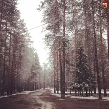 майданчик
