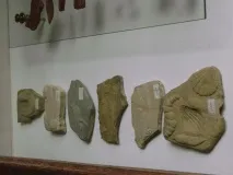 10 псевдо-відкриттів, які вразили науковий світ вразили
