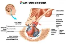 прогноза