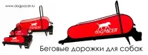 бігові