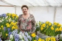Колишня вчителька біології вирощує у своїх теплицях квіти до 8 Березня вчителька