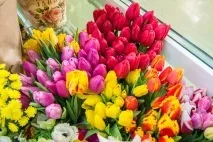 Колишня вчителька біології вирощує у своїх теплицях квіти до 8 Березня вирощує