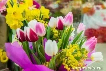 Колишня вчителька біології вирощує у своїх теплицях квіти до 8 Березня колишня