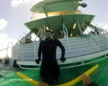 Австралія Великий Бар’єрний Риф - Як ми плавали з маскою, NatalyVlad Blog маскою