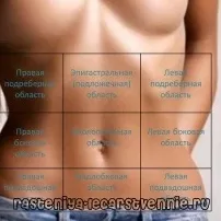 Болі в епігастральній ділянці після їди - Популярне про здоров’я після