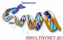 Хвороба Альцгеймера передається у спадок правда чи міф альцгеймера