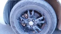 Боремося із шумом від колодок при гальмуванні! колодок