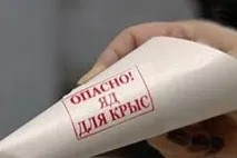 миші