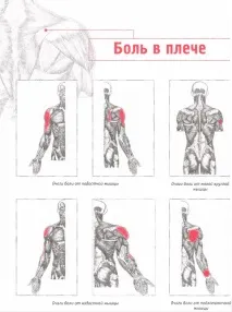 плечі