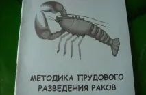 Чим зайнятися підприємцю з невеликим капіталом підприємцю