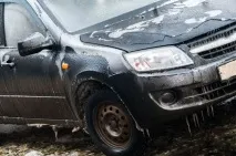 Чорна ожеледь чорна