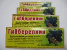Чим хороший гіберелін обробки