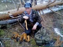 корисний